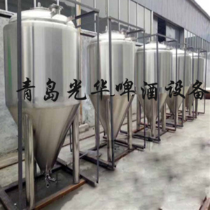 自酿啤酒中型发酵设备